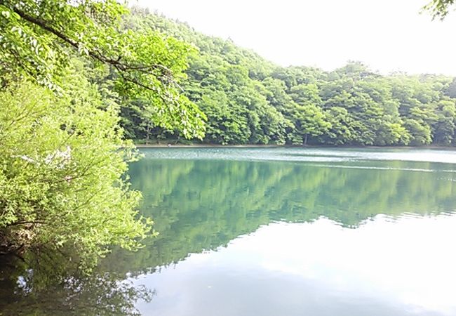 知る人ぞのみ知る・・・・・四尾連湖（しびれこ）