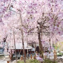 羅漢さんもいます