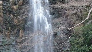 暑い日も涼しくすごしやすい場所です