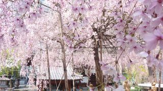 六角堂：烏丸の穴場