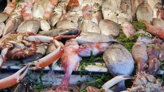 ぜったいオススメ！シーフードの炭火焼