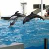 新潟市水族館 マリンピア日本海