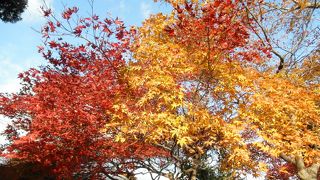 このスポットは絶対はずせません