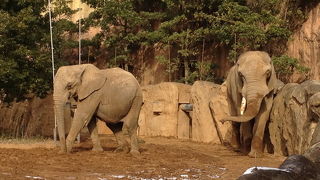 動物も寒いよね