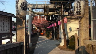 染井の名の由来