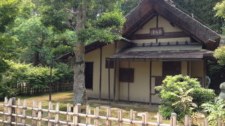 大きなお庭です