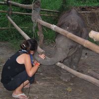 赤ちゃんゾウ　生後６ヶ月