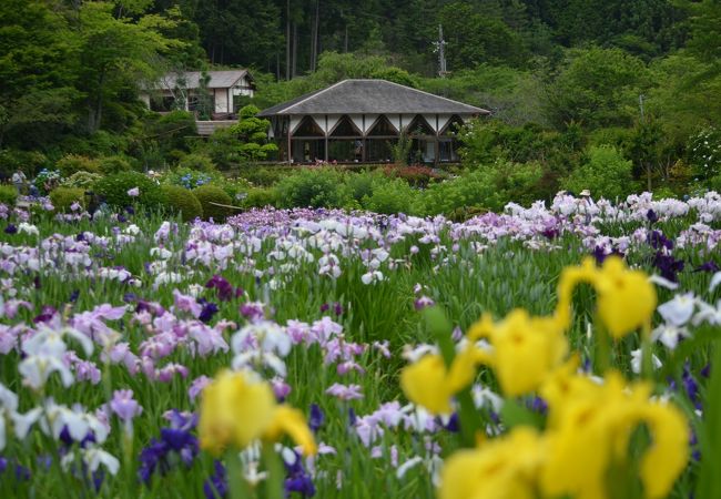 花の郷 滝谷花しょうぶ園 クチコミ アクセス 営業時間 室生 宇陀 フォートラベル