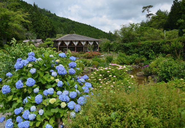 花の郷 滝谷花しょうぶ園 クチコミ アクセス 営業時間 室生 宇陀 フォートラベル