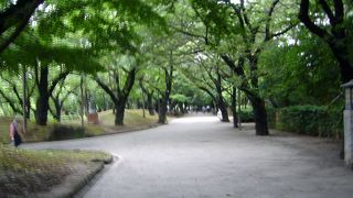 緑あふれる公園