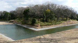 真の継体天皇陵とされる大阪・高槻市、今城塚古墳（いましろづかこふん）