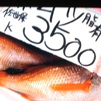 NHKも見ることができます。築地の特集をやってました