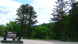 遊覧船があります