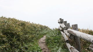 登山素人でも歩けました。
