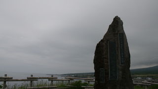 稚内の水族館からアザラシがバイトに来ていました。