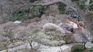 梅園で足湯も楽しめます