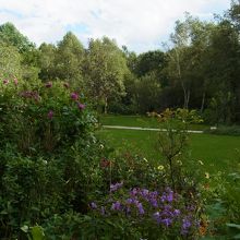 散策が楽しめます