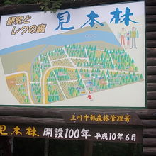 入口にある看板は温もりが感じられるデザインです