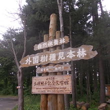 一応、国有林です