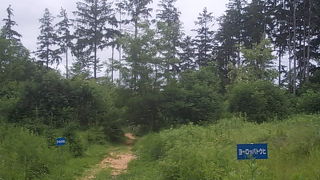 静寂に包まれた癒しの場です