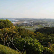 むしろ陸側が絶景！