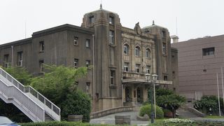 西郷さんの愛犬ツンもいます