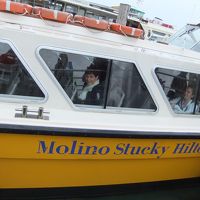 専用の船がホテルの目の前から主要なポイントに出ています。