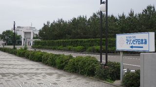 新潟市水族館 マリンピア日本海