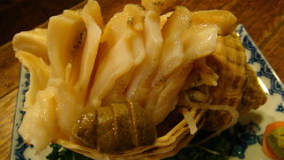 肉厚でコリコリ