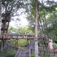 アスレチック体験も