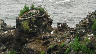 見えなくもない