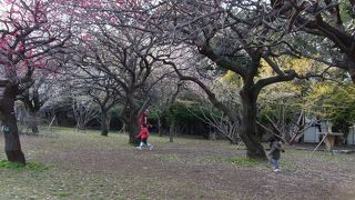 行くだけで健康的な気分になれます