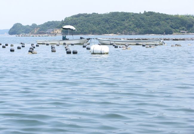 フィッシングセンターマンボウ クチコミ アクセス 営業時間 志摩スペイン村 磯部 フォートラベル