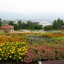 色とりどりです