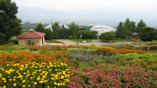 見晴らしの良い公園です
