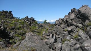 大陸的な風景です