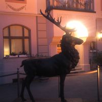 至る所に鹿のオブジェ。ホテル名の通り、ドイツ語で「ヒルシュ」