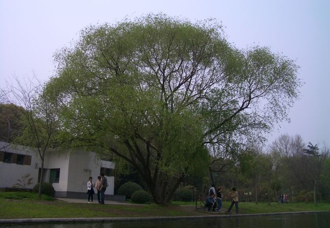 上海濱江森林公園