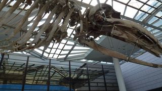 のんびりできます