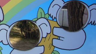 コアラが見れます