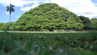 ついにご対面！