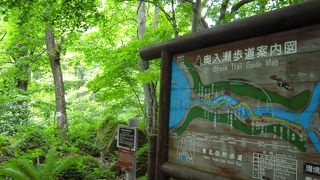 緑に癒されます