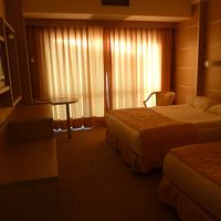 グランド　テミゼル