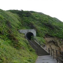 ぎょうけい館・ホテルニュー大新前の海岸線の遊歩道
