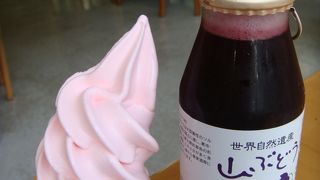 知床散策の休憩に