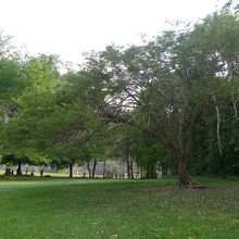 寝ころんでのんびりできます。