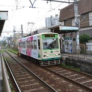 専用軌道と道路を走る部分の境界駅。道路上を走る都電を見るには好適です。