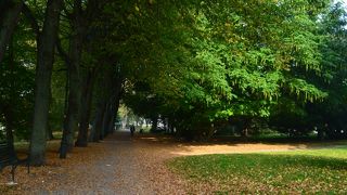 自然があふれる公園、クングス公園