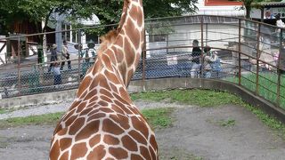 もぐもぐは必見