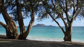 アラモアナショッピングセンターから５７番のバスで